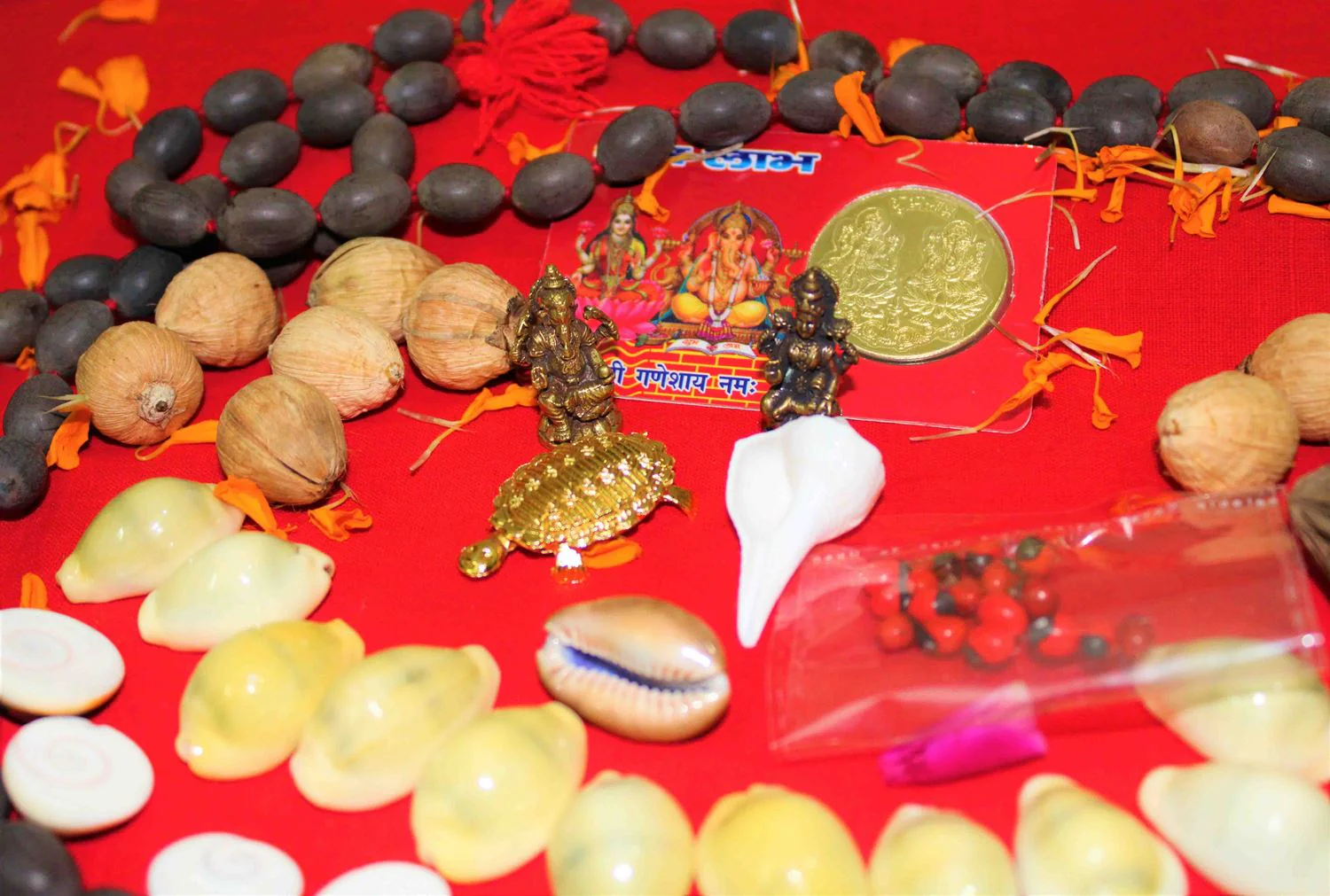 Lakshmi Poojan Collection - Image 4