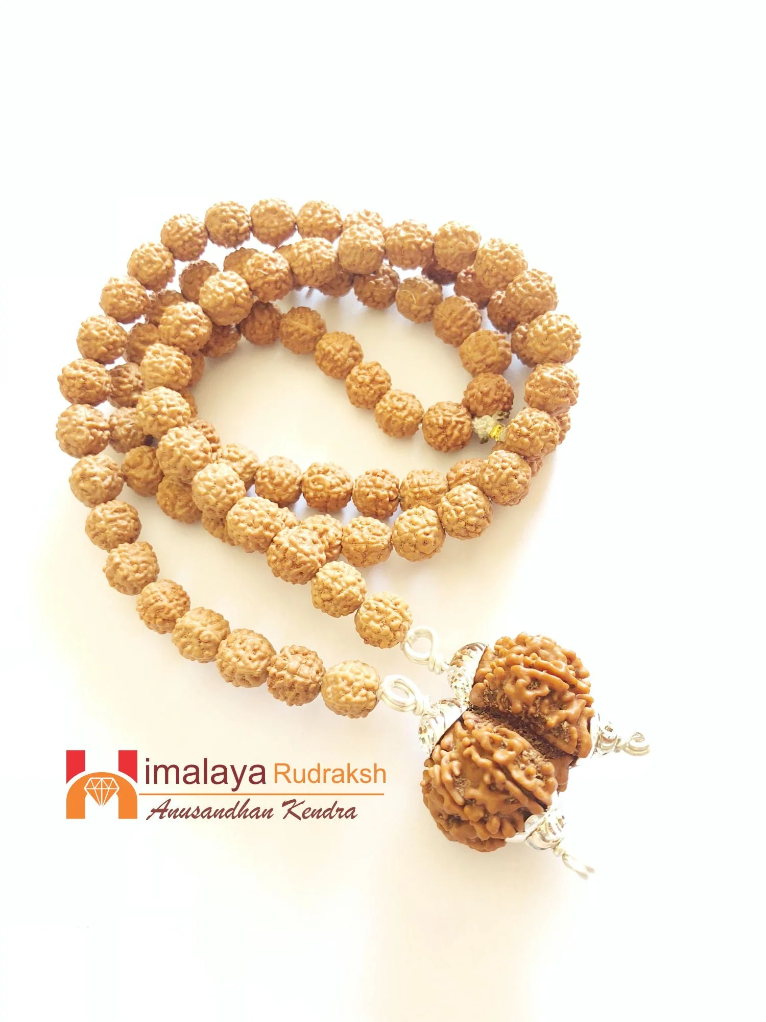 Divy Gaurishankar Rudraksha Mala - Image 3