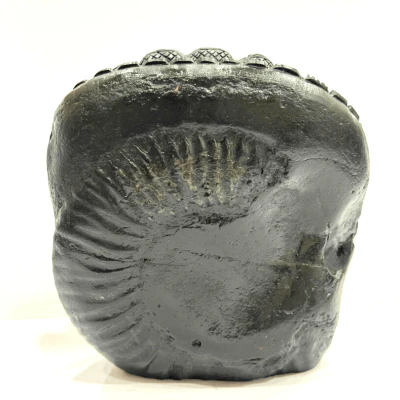 Vishnu Carved Shaligram - 435 grams - Image 3