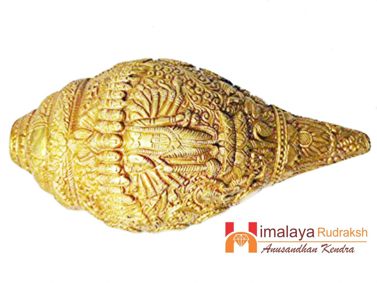 Vishnu Shankh - Image 4
