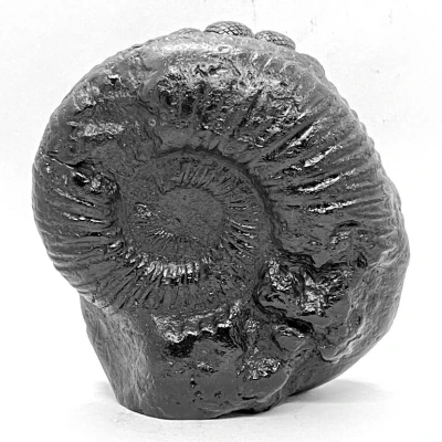Vishnuji Carved Shaligram (715 gms) - Image 4